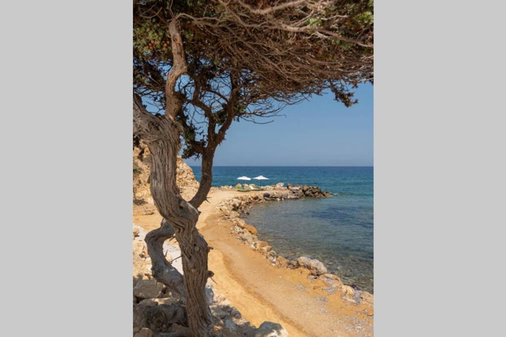 케팔로스 Ktima Sfakia 빌라 외부 사진