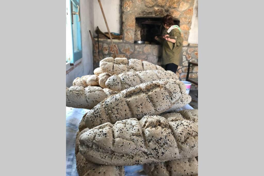 케팔로스 Ktima Sfakia 빌라 외부 사진