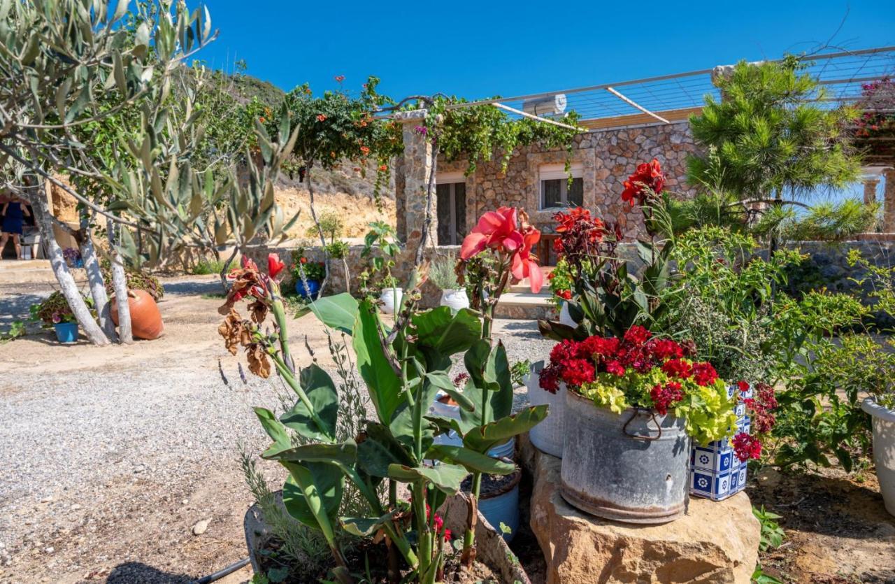 케팔로스 Ktima Sfakia 빌라 외부 사진